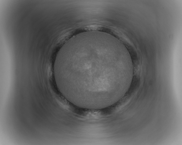 X0000113110599200908281410