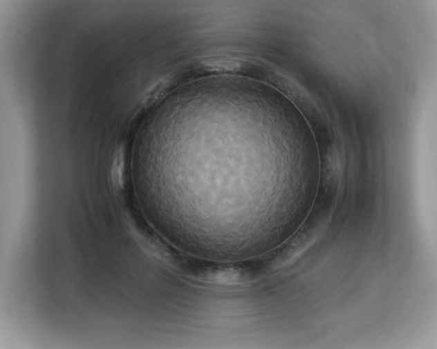 X0000113110600200908281410