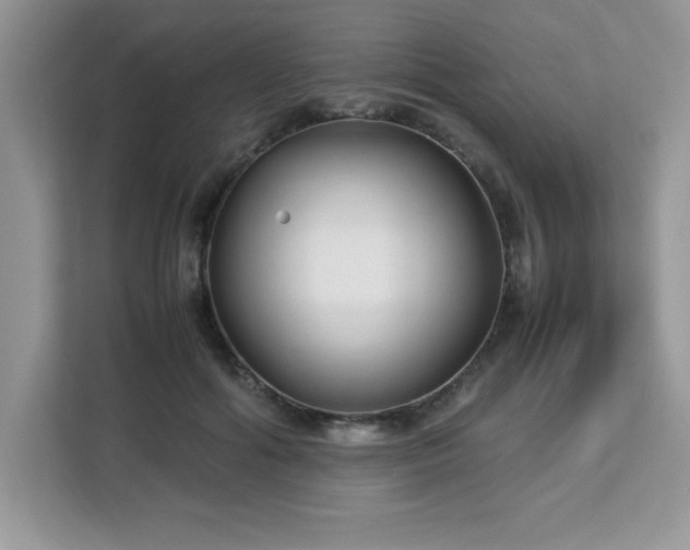 X0000113110602200908281410