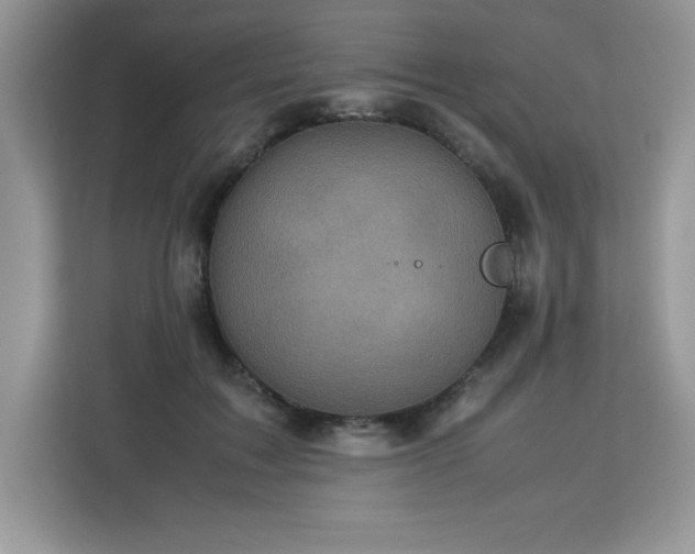 X0000113110603200908281410
