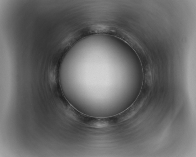 X0000113110604200908281410