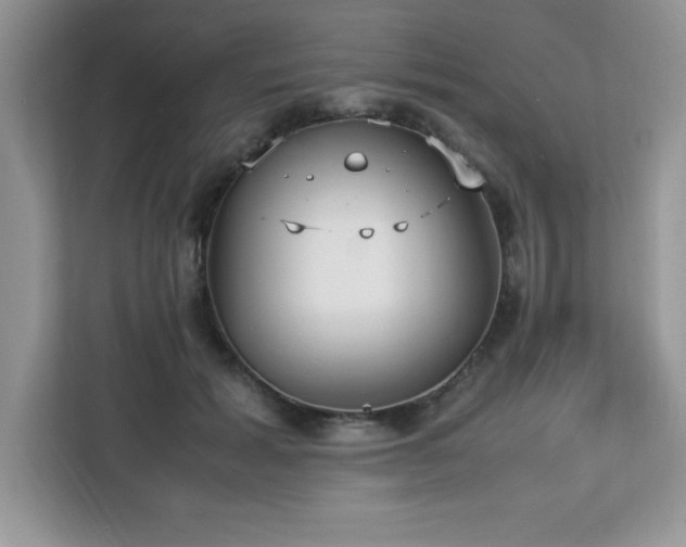 X0000113110605200908281410
