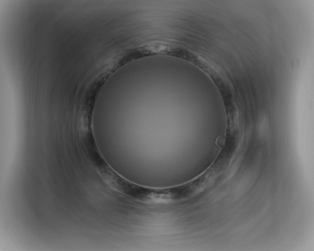 X0000113110606200908281410