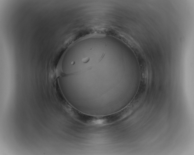 X0000113110610200908281410