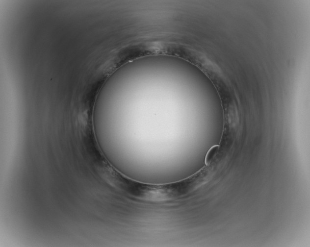 X0000113110611200908281410