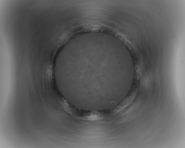 X0000113110612200908281410