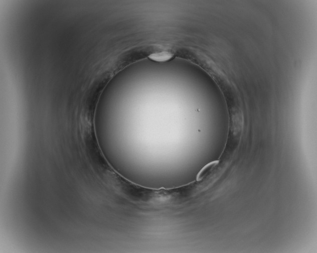 X0000113110613200908281410