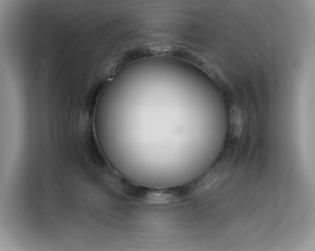 X0000113110614200908281410