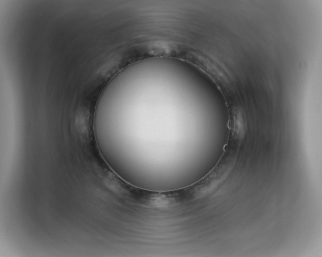 X0000113110616200908281410