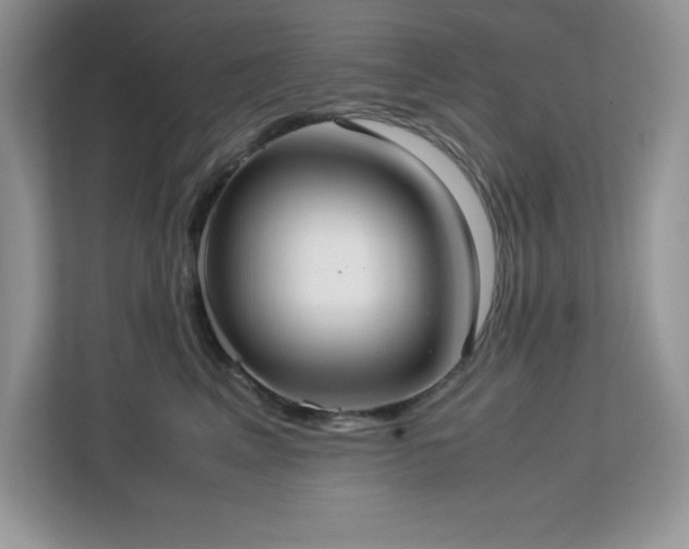 X0000113110617200908281410
