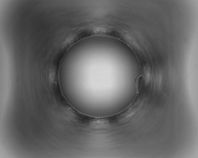 X0000113110619200908281410