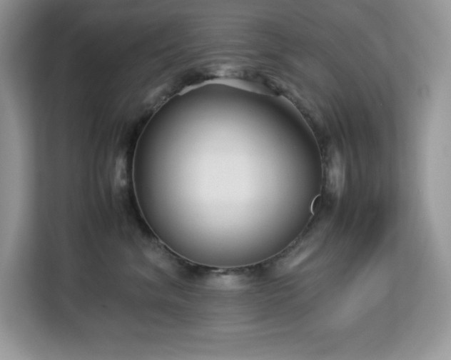 X0000113110620200908281410