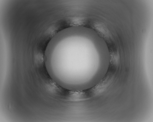 X0000113110621200908281410