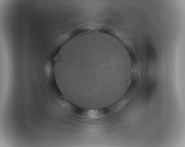 X0000113110623200908281410