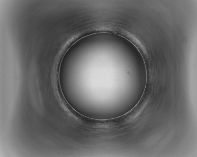 X0000113110625200908281409