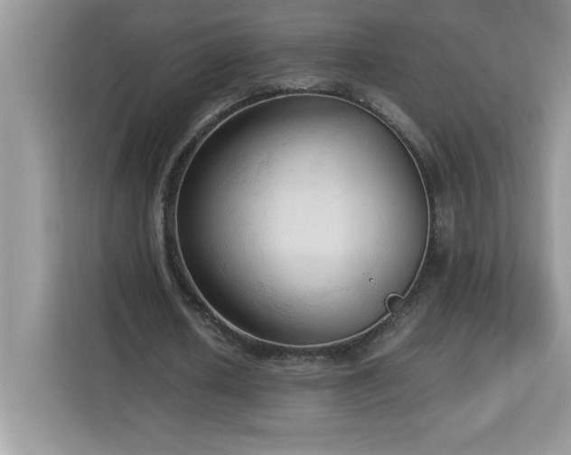 X0000113110626200908281409