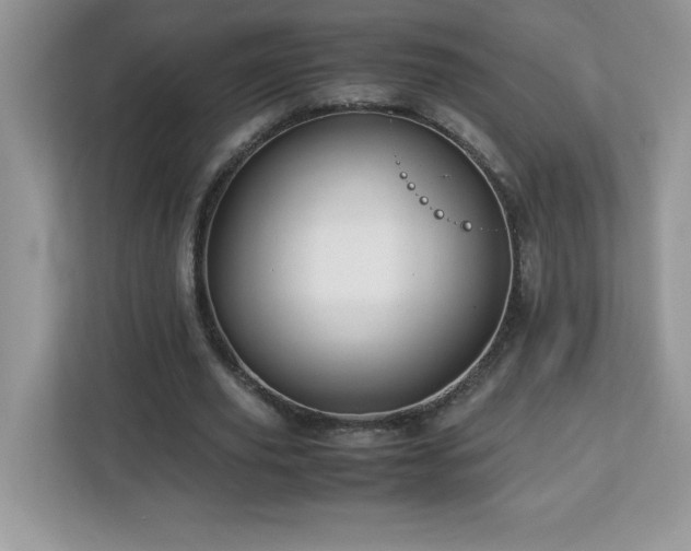 X0000113110629200908281409