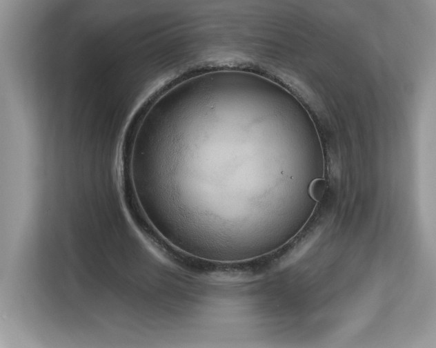 X0000113110630200908281409