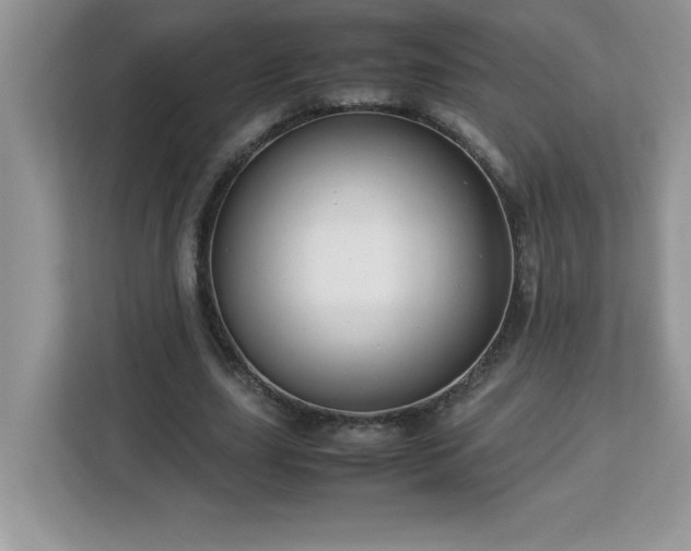 X0000113110631200908281409