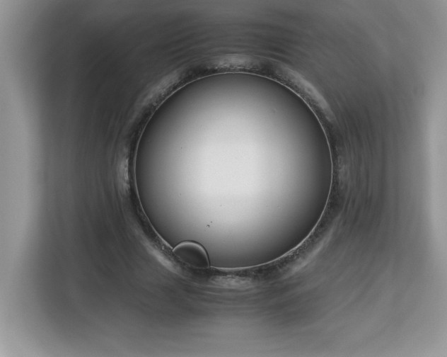 X0000113110633200908281409