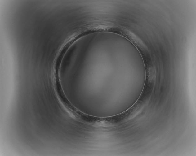X0000113110634200908281409
