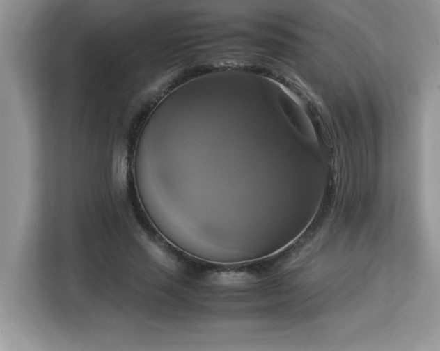X0000113110637200908281409