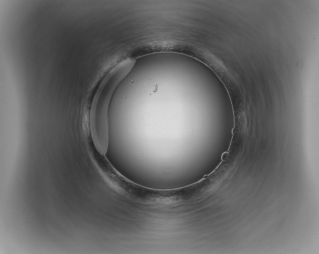 X0000113110638200908281409