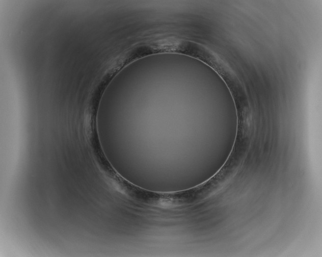 X0000113110641200908281409