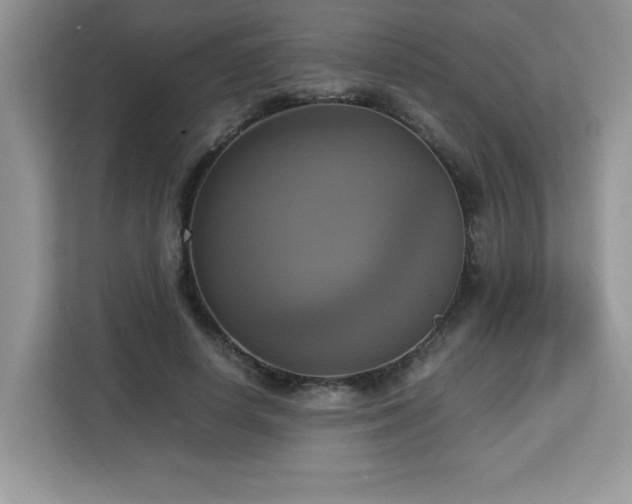 X0000113110642200908281409
