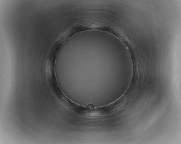 X0000113110643200908281409