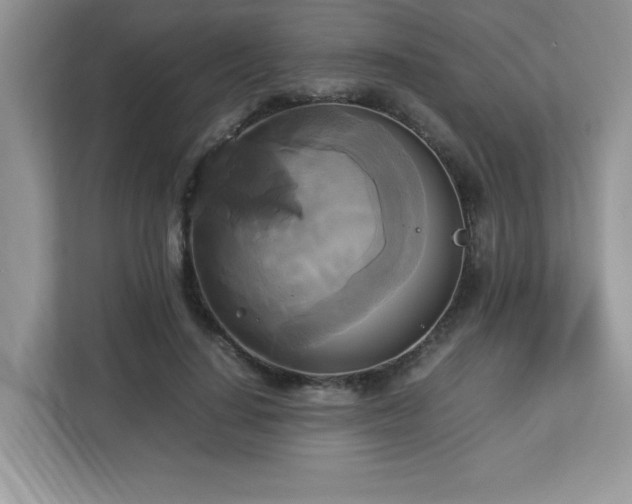 X0000113110644200908281409