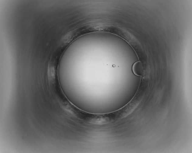 X0000113110646200908281410