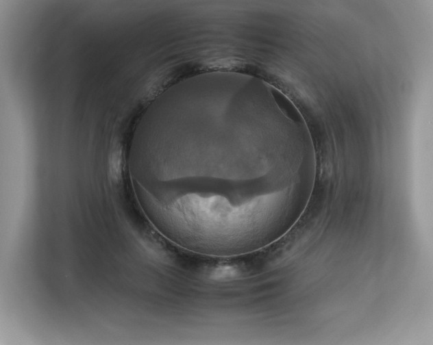 X0000113110647200908281410
