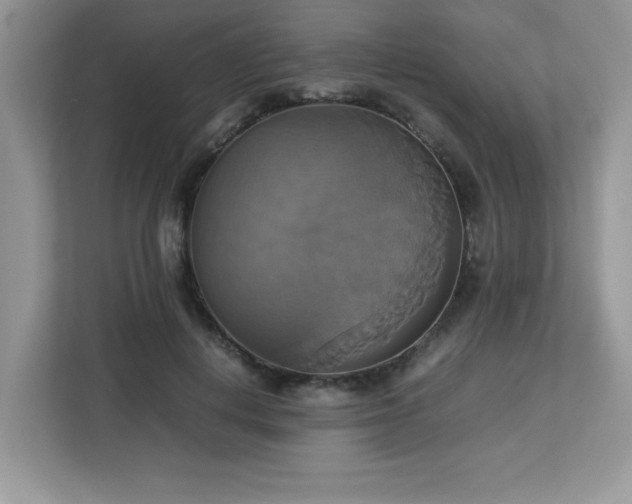X0000113110648200908281410