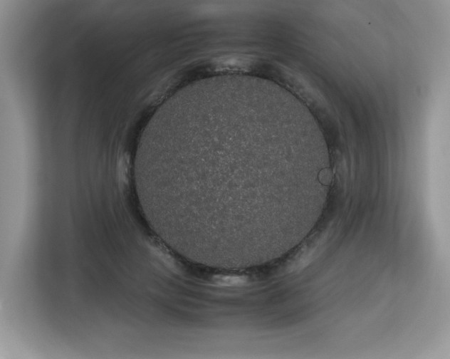 X0000113110649200908281410