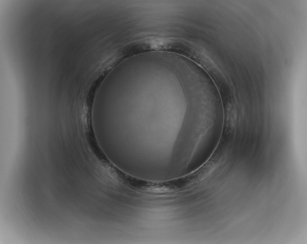 X0000113110650200908281410