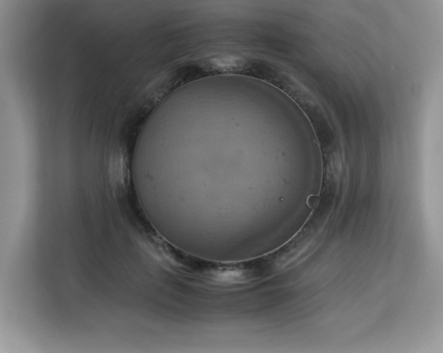 X0000113110651200908281410
