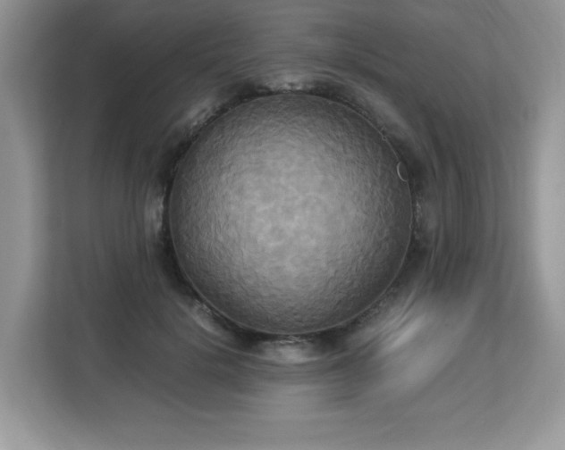 X0000113110652200908281410
