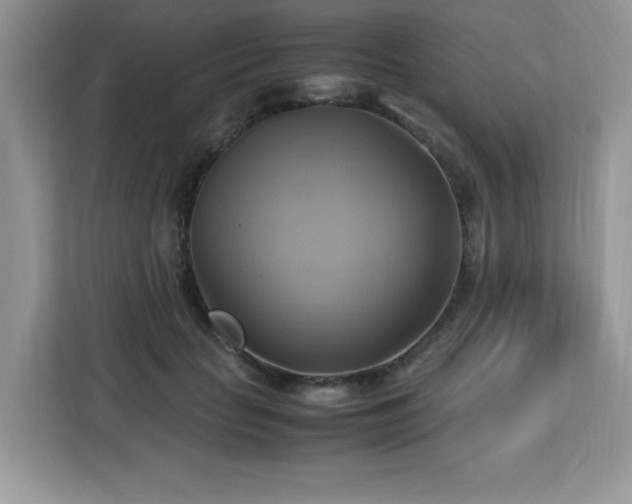 X0000113110653200908281410