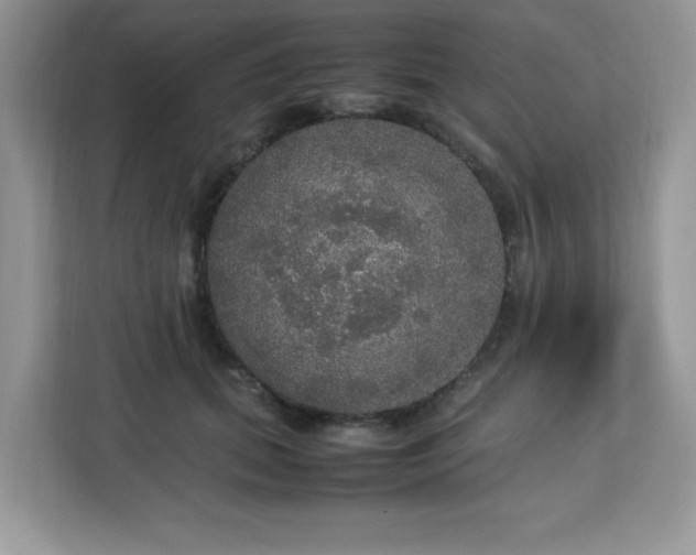 X0000113110655200908281410