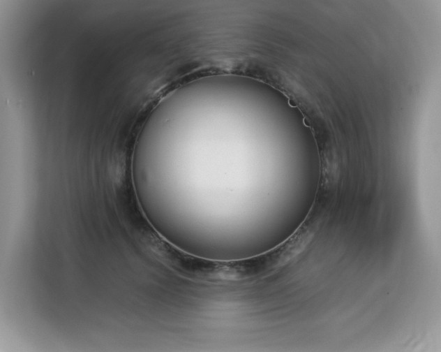 X0000113110656200908281410