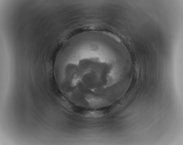 X0000113110657200908281410