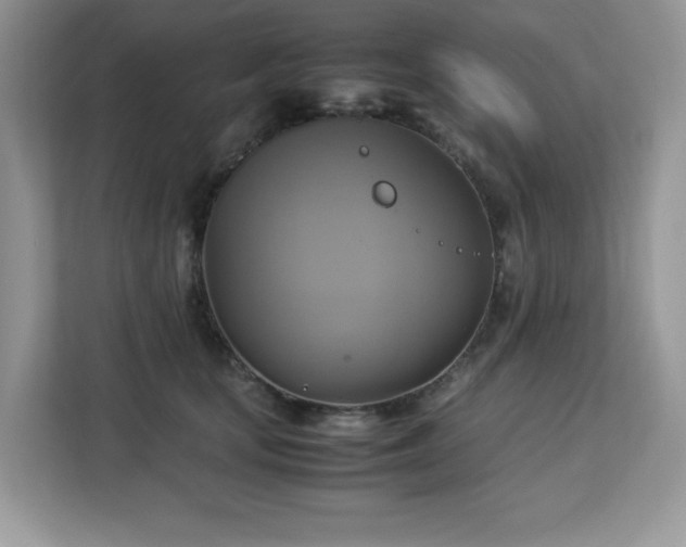 X0000113110659200908281410