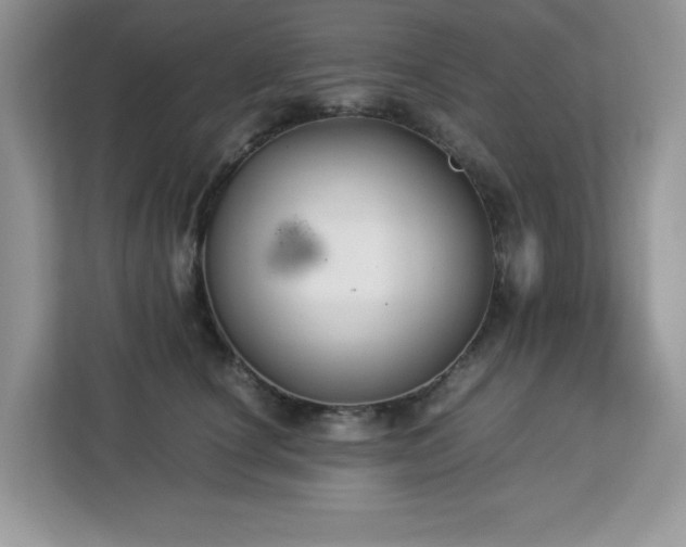 X0000113110660200908281410