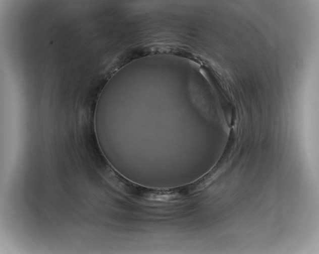 X0000113110661200908281410