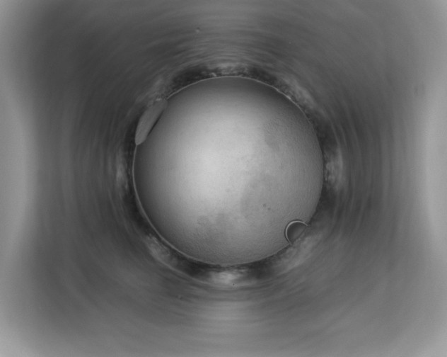 X0000113110662200908281410