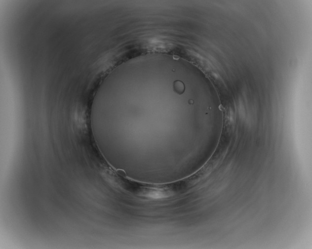 X0000113110663200908281410