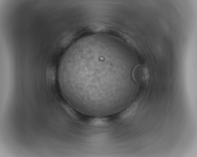 X0000113110664200908281410