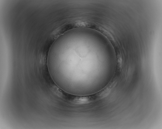 X0000113110665200908281410