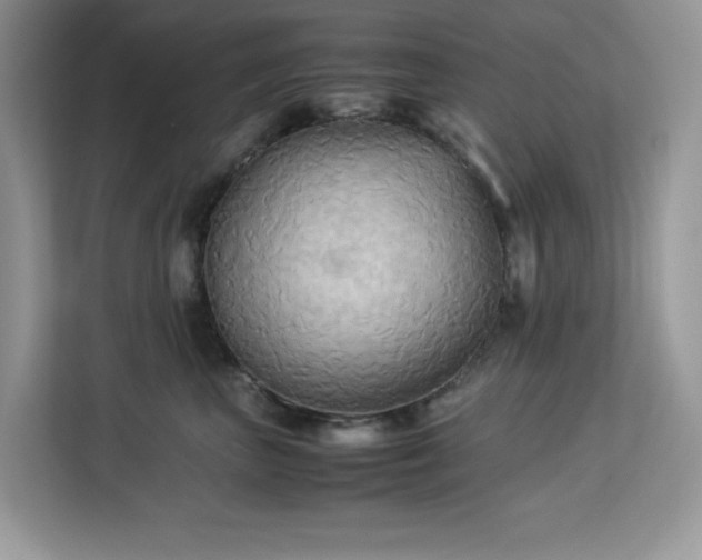 X0000113110667200908281410